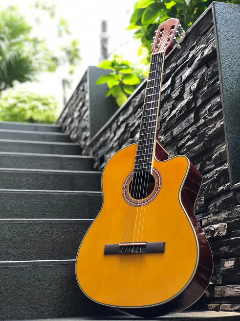 Chard EC3940C Acoustic Electric Natural in Yellow Natural with Fishman