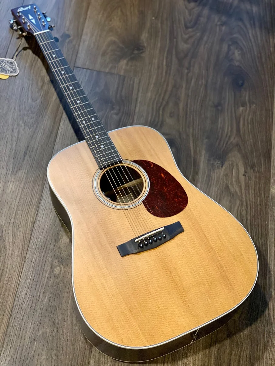 CORT Earth 200 ATV SG Semi Gloss Natural with LR Baggs Preamp