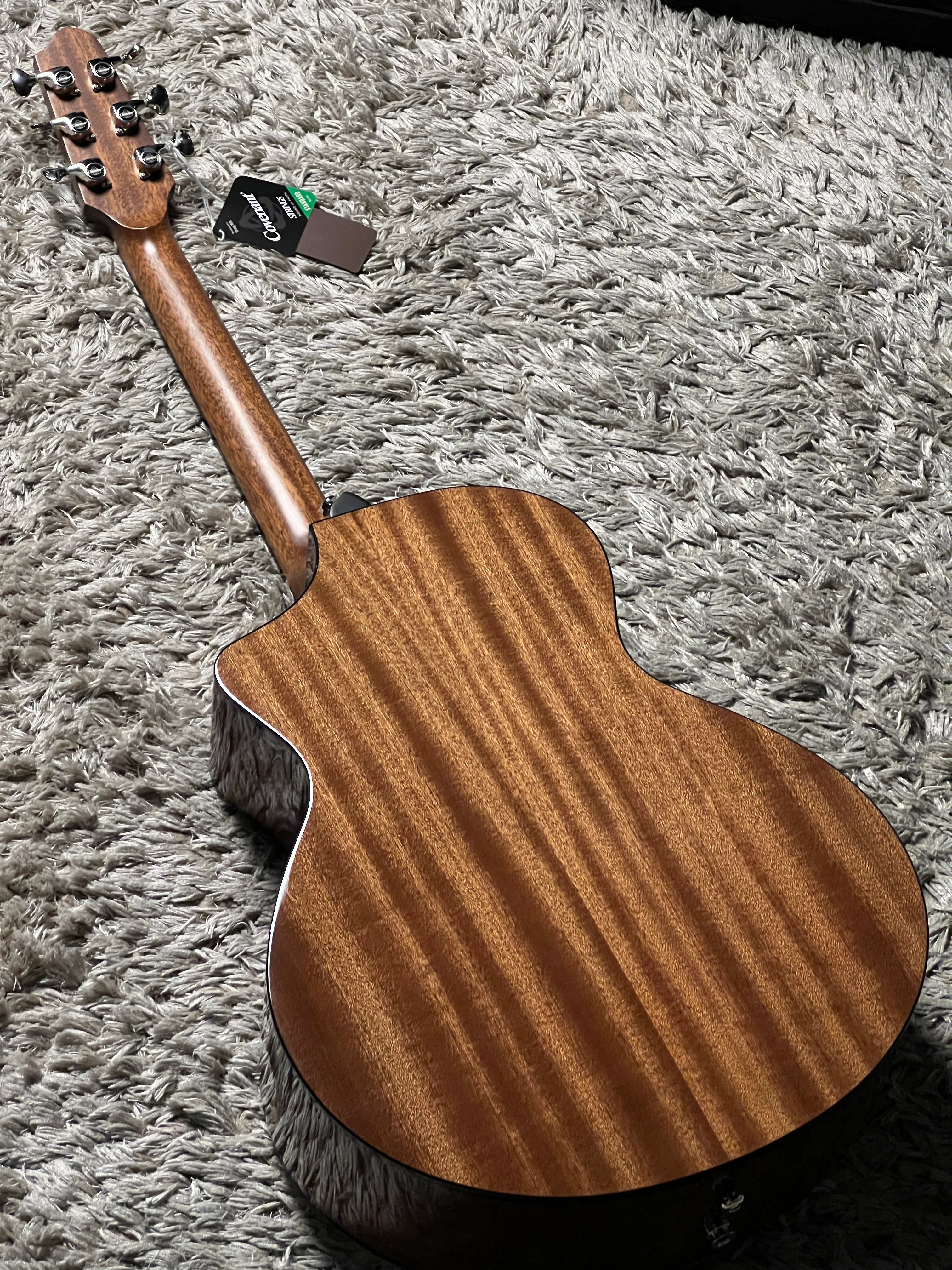 COVENANT 100C-E in Natural Gloss with M2P Preamp - Image 4