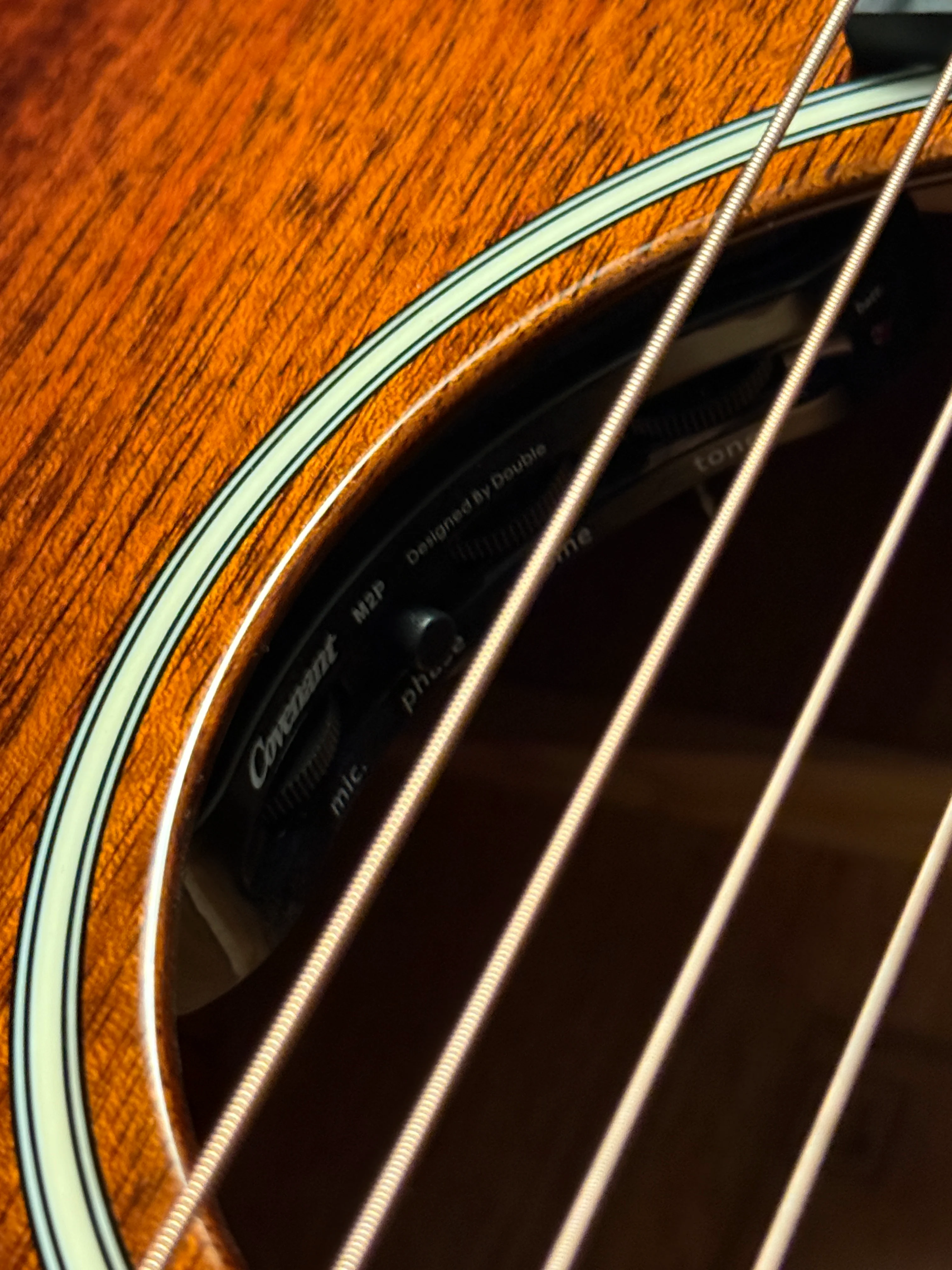 COVENANT 100R-T in Shaded Edgeburst with M2P Preamp - Image 3