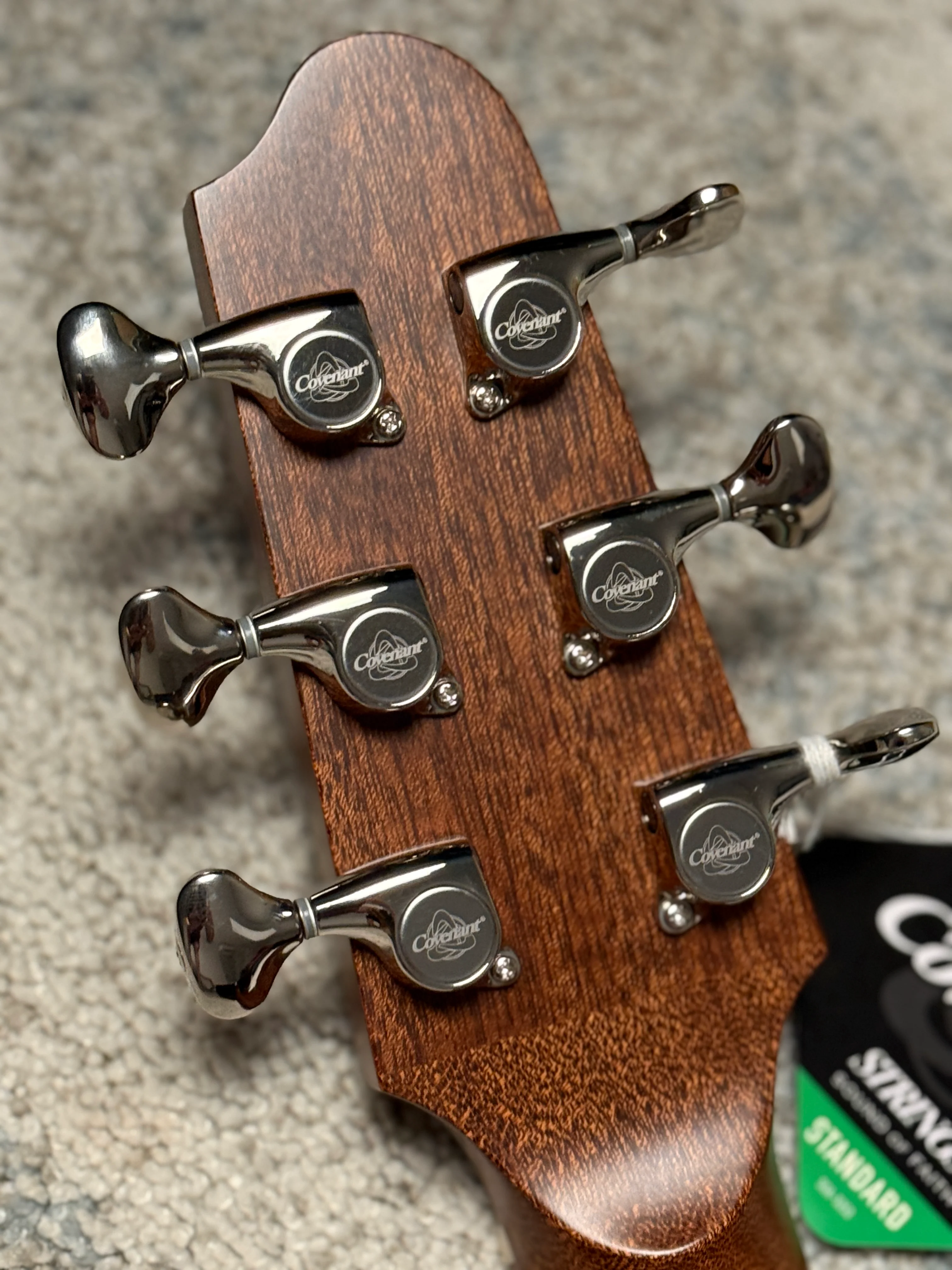 COVENANT 100R-T in Shaded Edgeburst with M2P Preamp - Image 5
