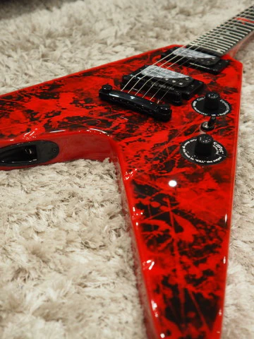 Epiphone Ltd Ed Jeff Waters Annihilation II Flying V Outfit - Image 3