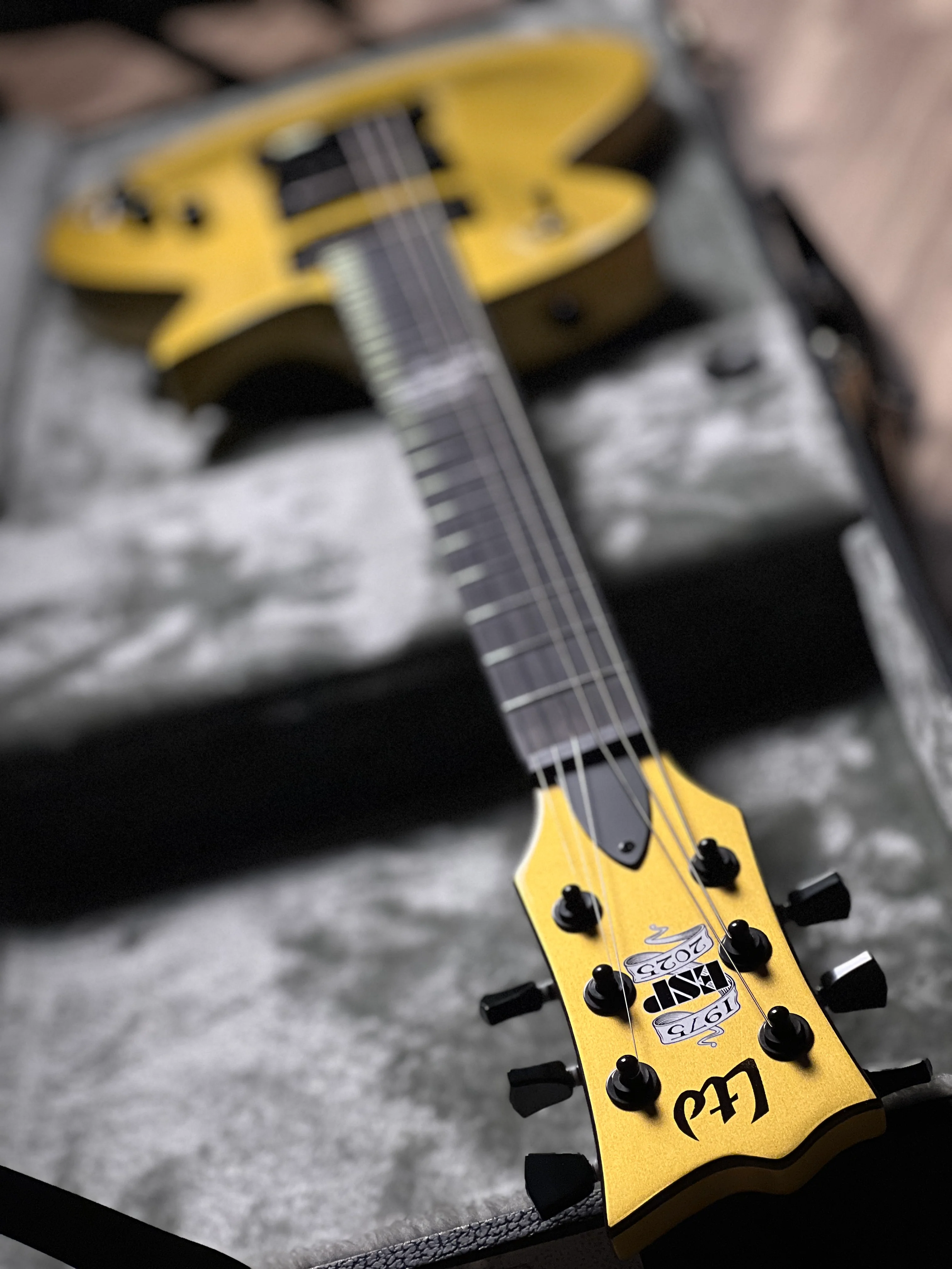 ESP LTD EC-2025 50th Anniversary with Ebony Fingerboard in Metallic Gold - Image 7