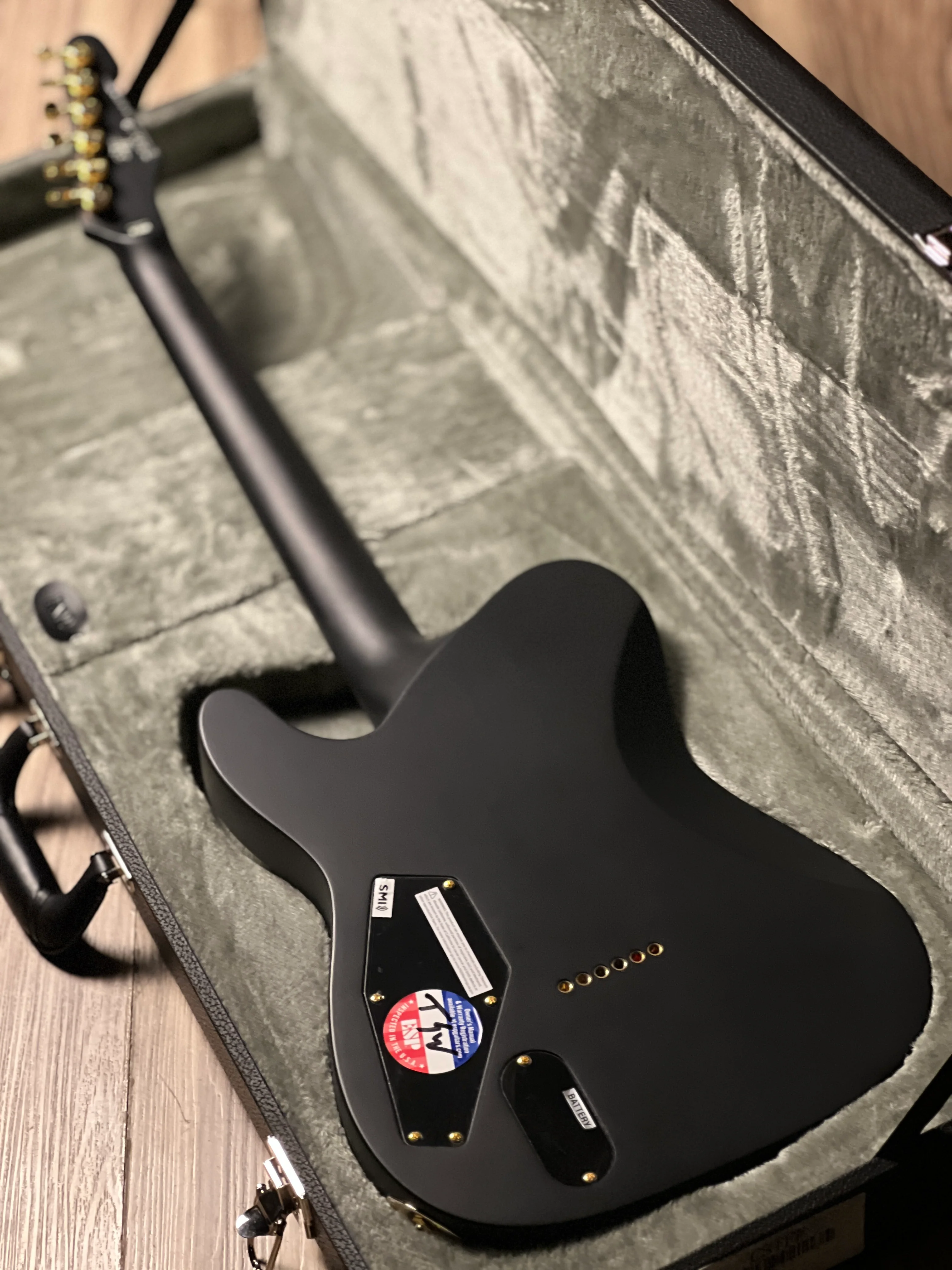 ESP LTD Alan Ashby AA-1 Solidbody in Black Satin W23121343 - Image 5
