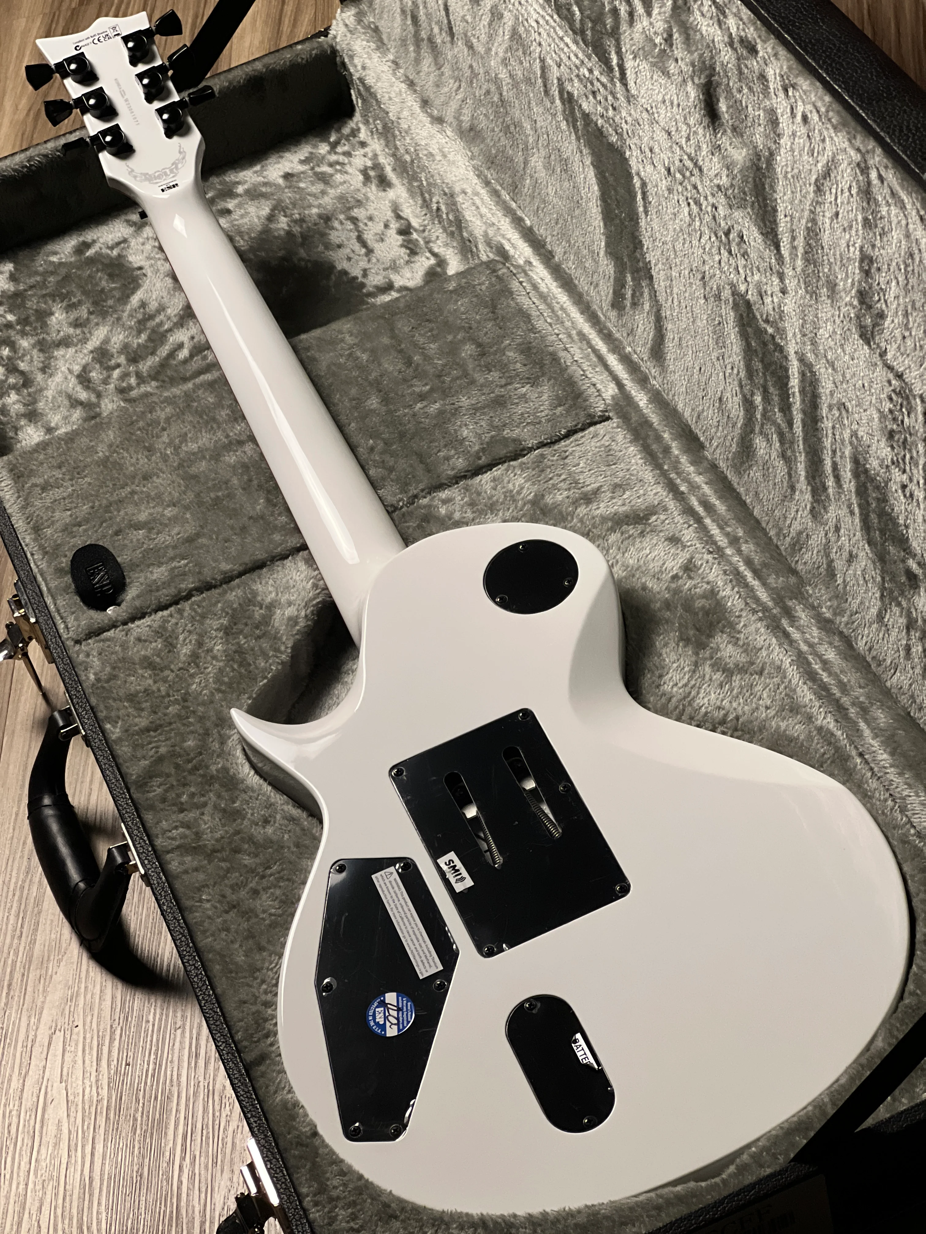 ESP LTD Signature Series Gary Holt GH-600 in Snow White W23061071 - Image 5