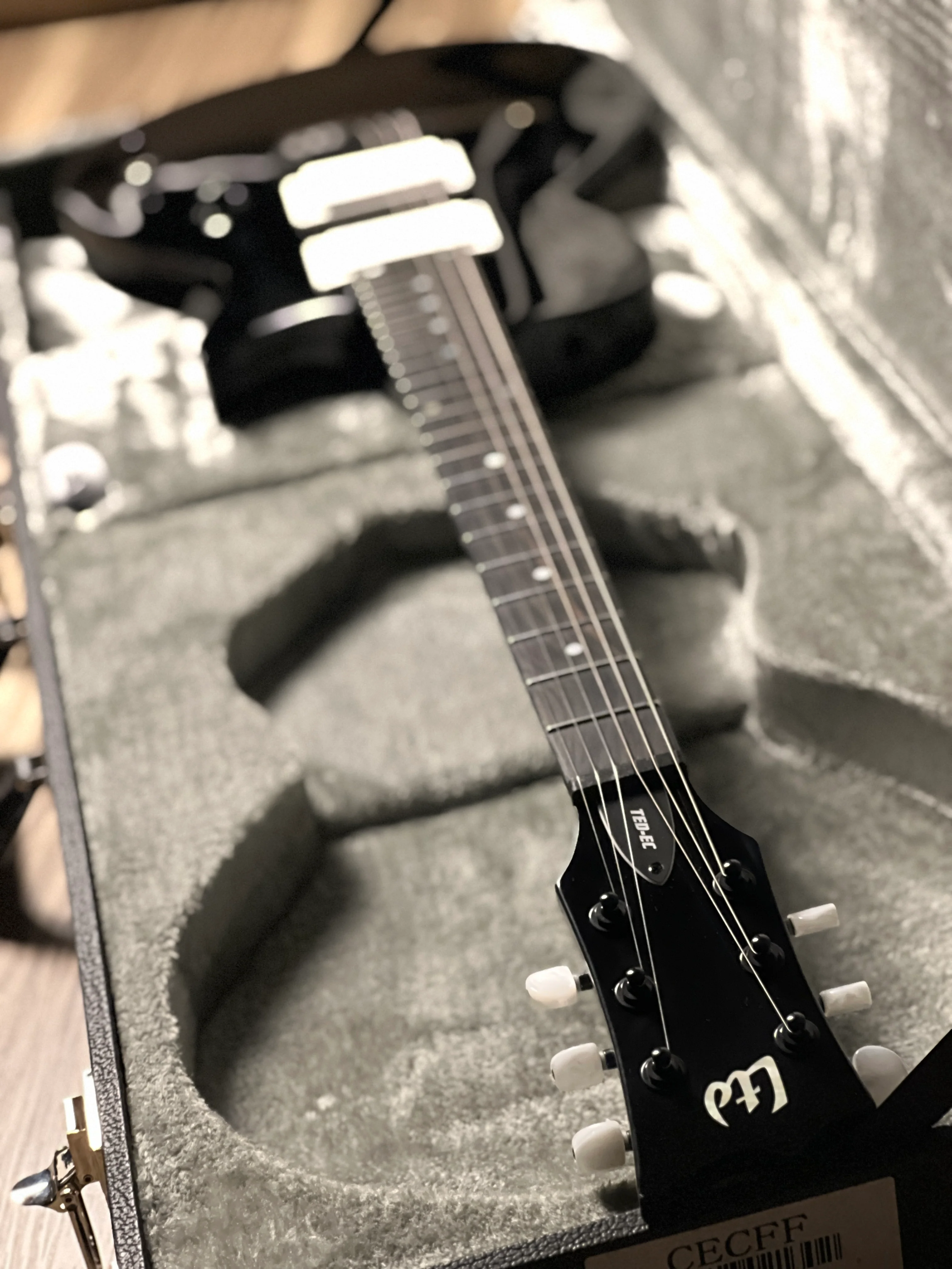 ESP LTD Ted Aguilar Signature TED-EC In Black with Hardshell Case W24022914 - Image 7