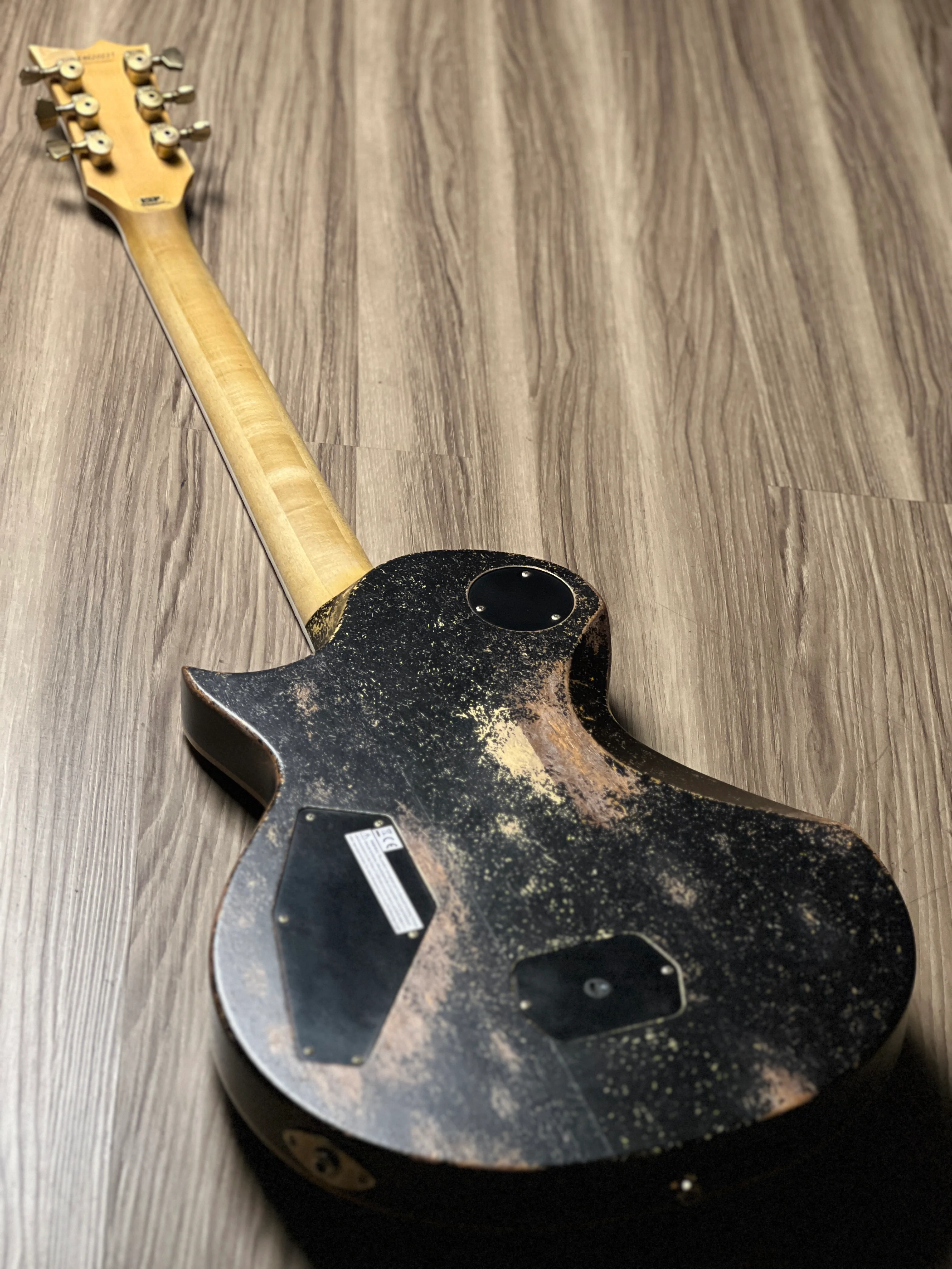 ESP Will Alder Signature Warbird Custom Shop in Distressed E4620231 - Image 14