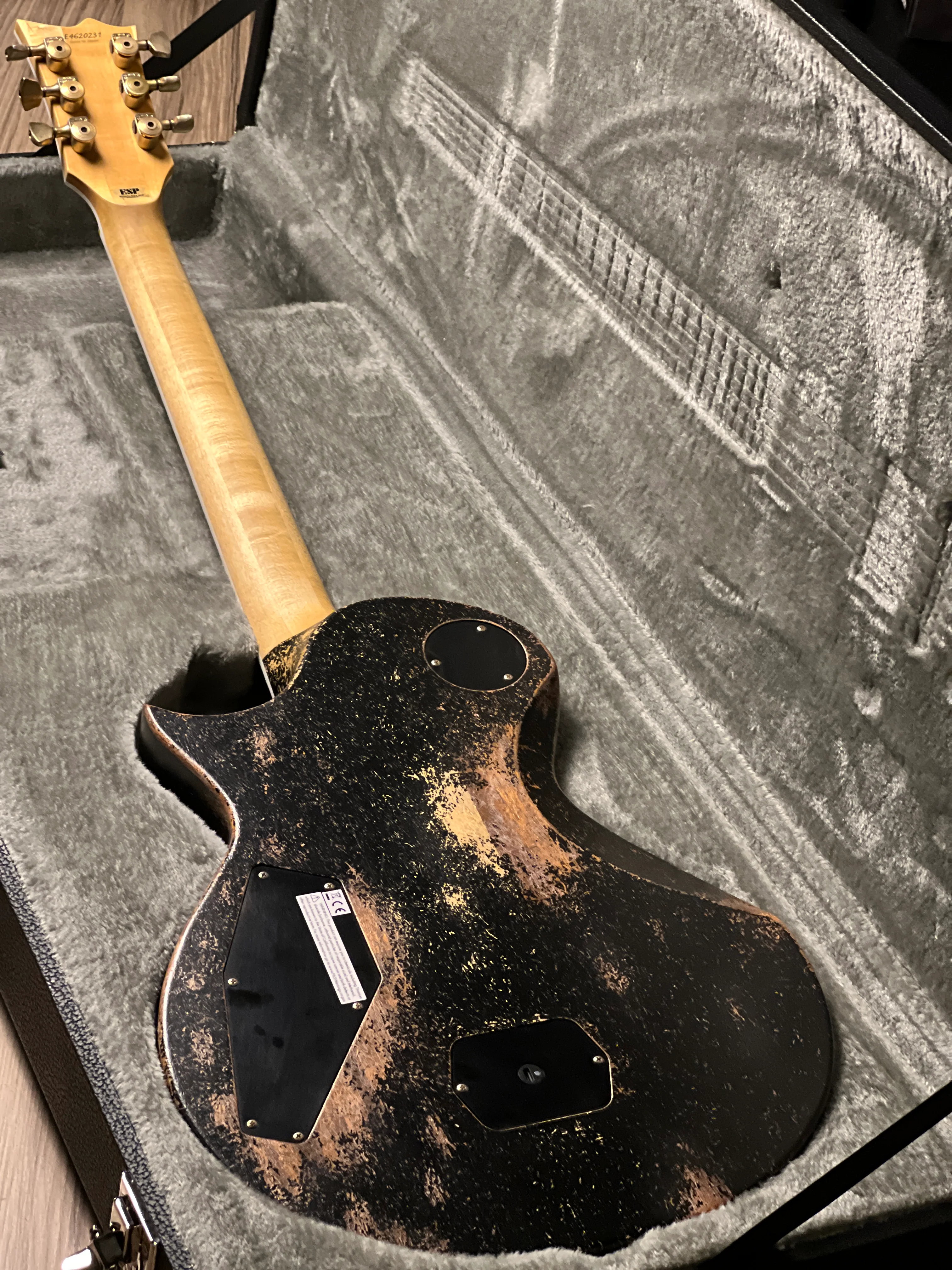 ESP Will Alder Signature Warbird Custom Shop in Distressed E4620231 - Image 8