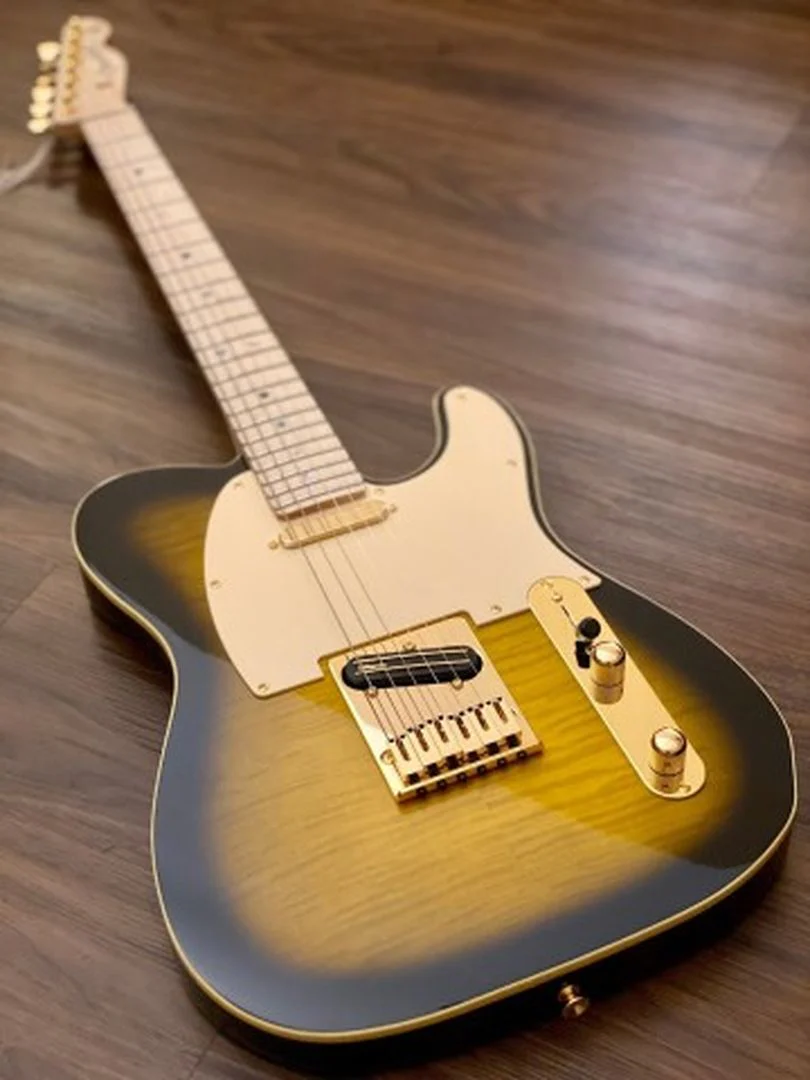 Fender Japan Ritchie Kotzen Signature Telecaster with Maple FB in Brown Sunburst