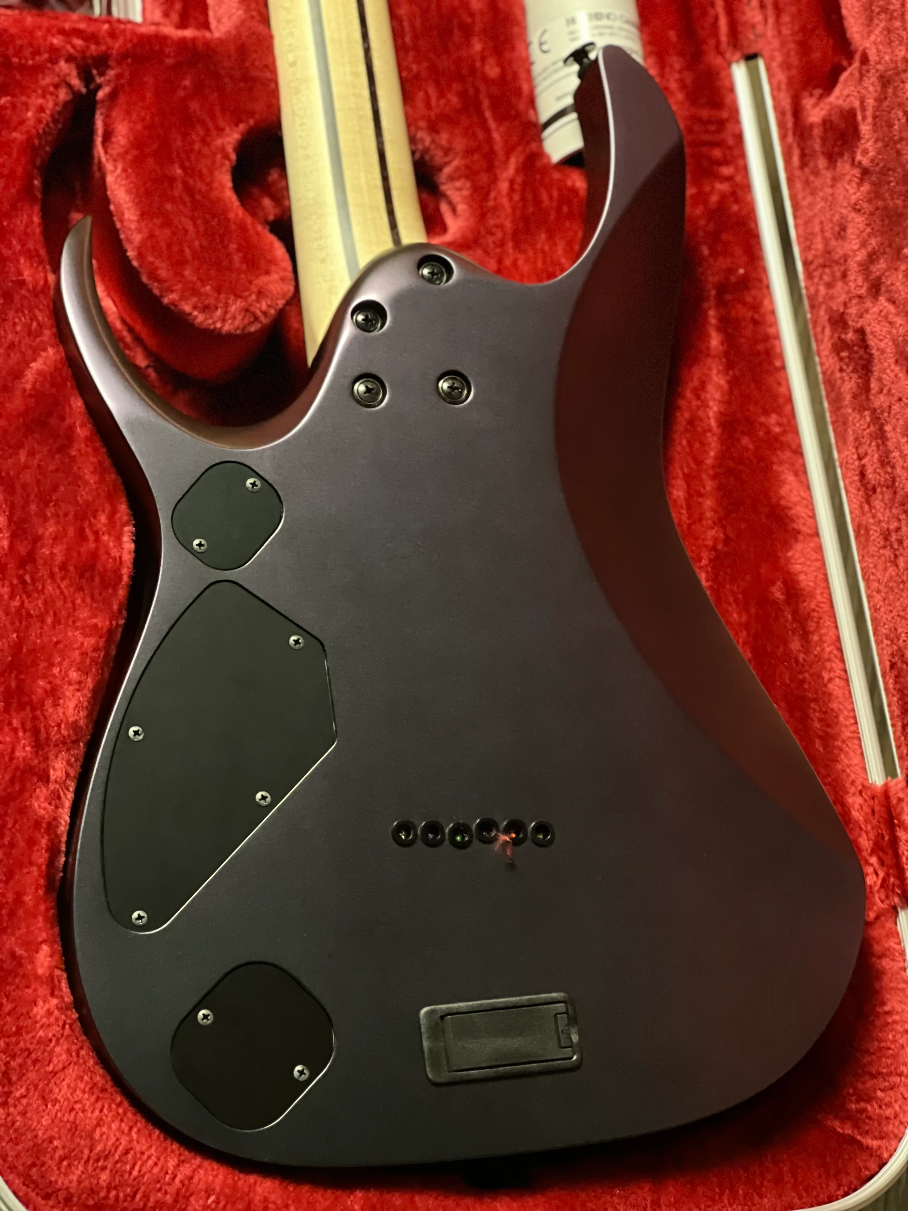 Ibanez RGD3121 w/Case in Polar Lights Flat F2401407 - Image 6