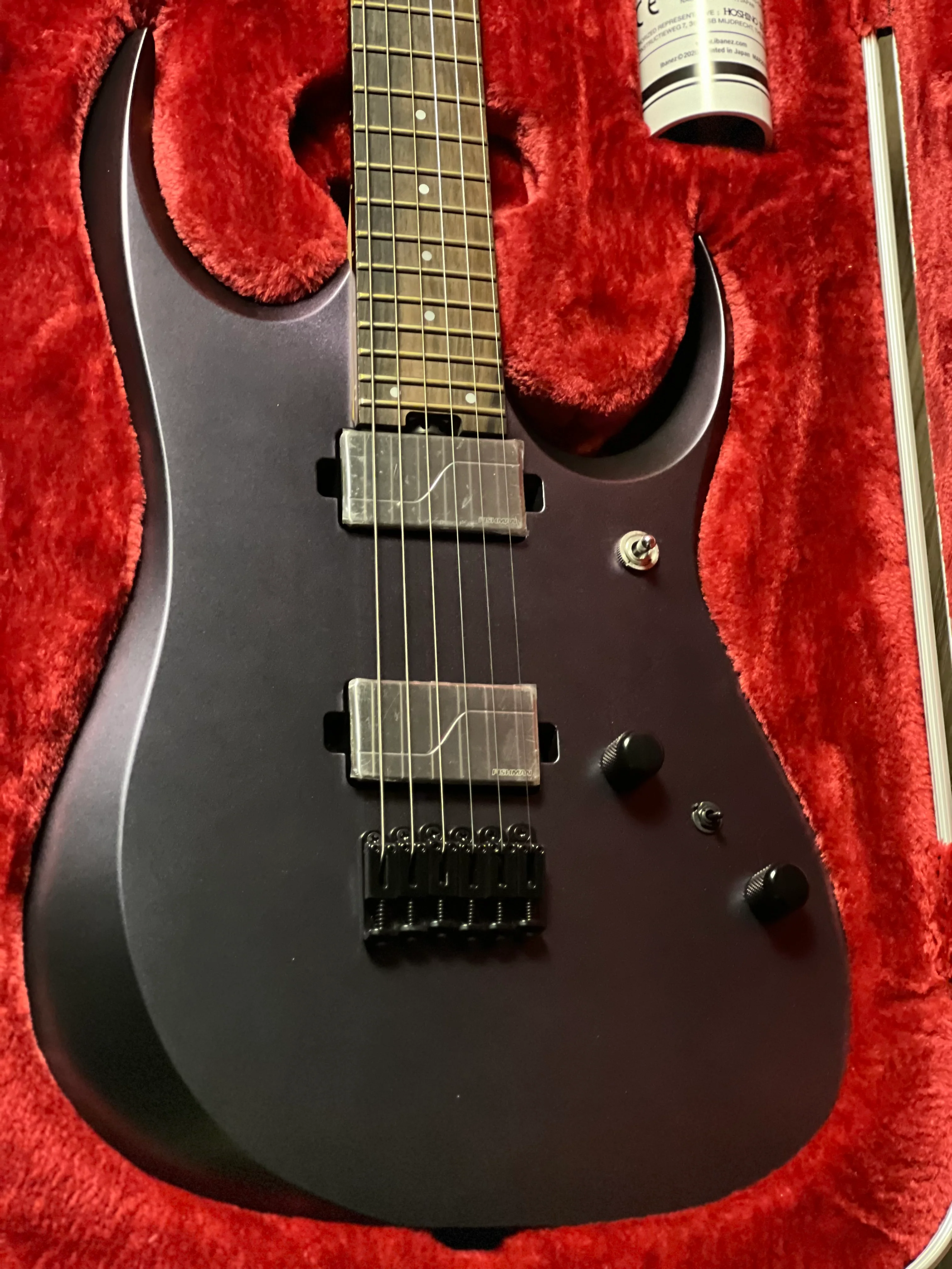 Ibanez RGD3121 w/Case in Polar Lights Flat F2404073 - Image 3