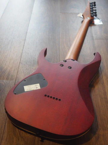 Ibanez RGEW521ZC - Natural Flat - Image 5