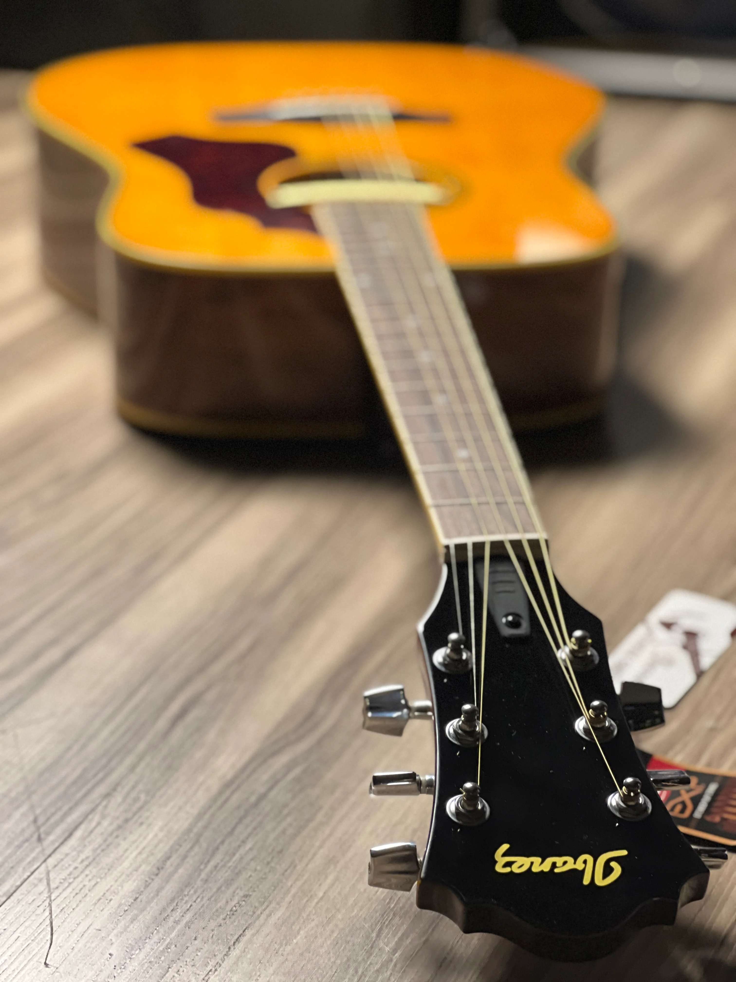 Ibanez SGE 120 ATN Antique Natural - Image 5