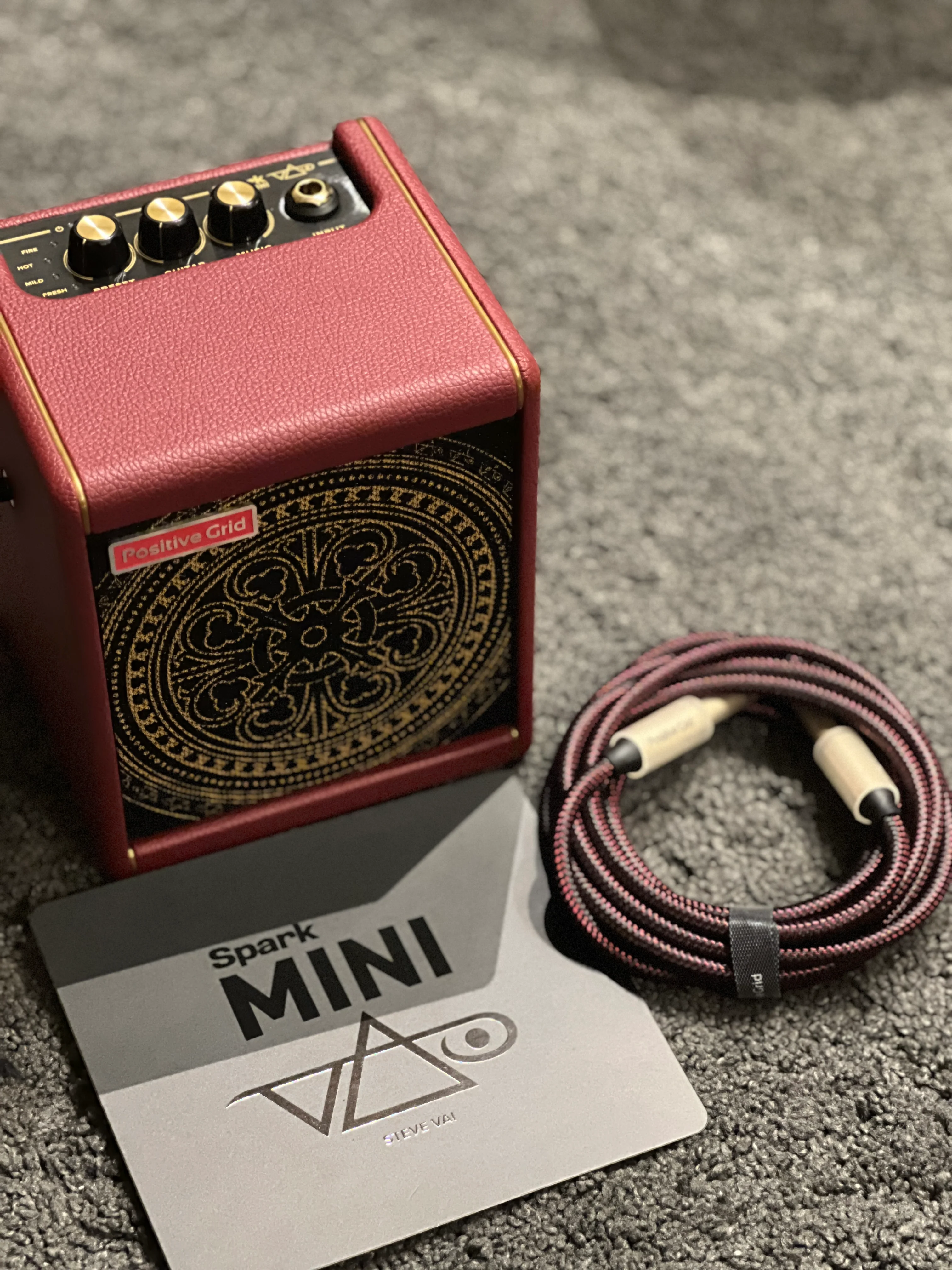 Positive Grid Spark Mini Steve VAI Edition