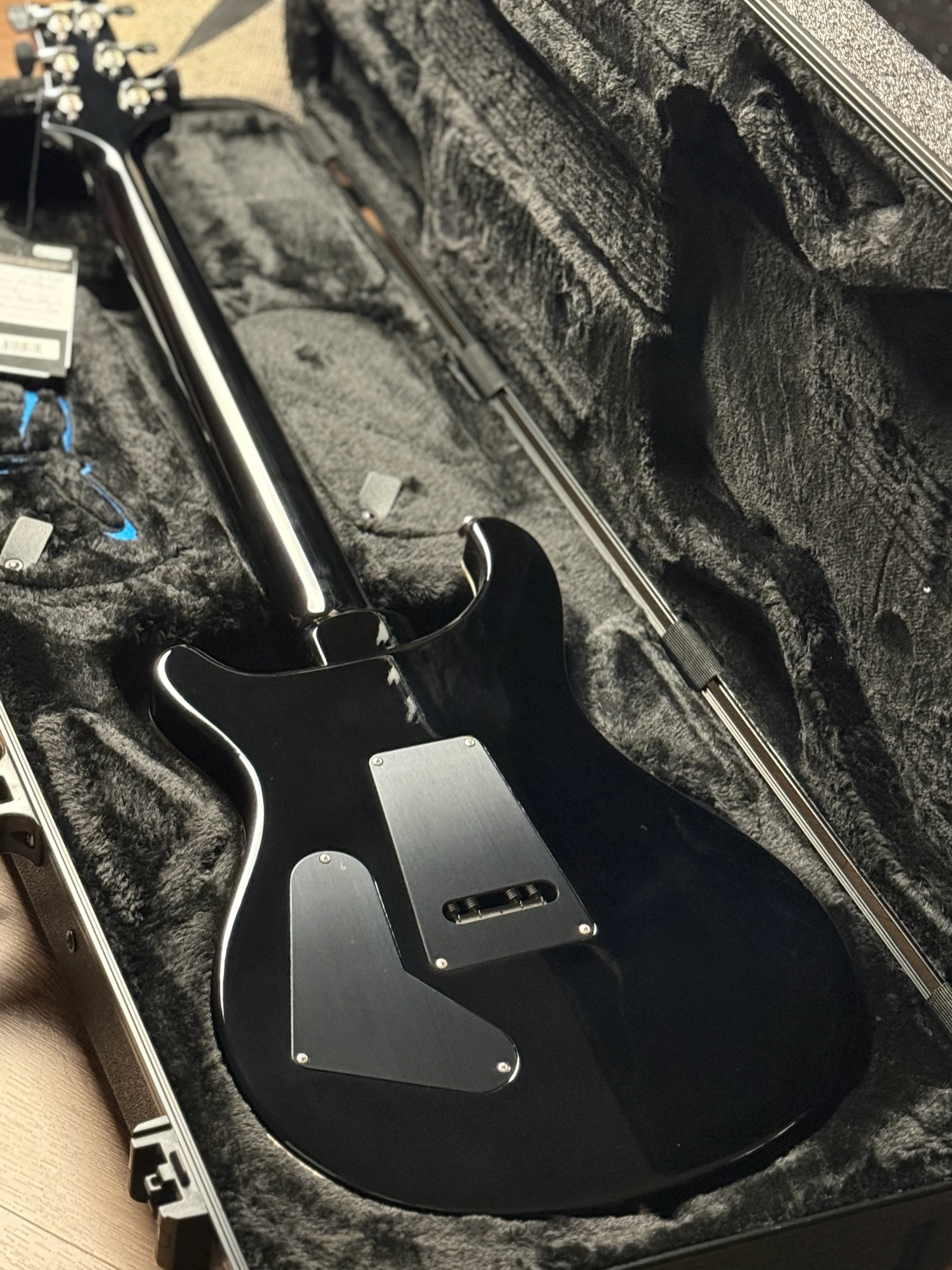 PRS Custom 24 "Floyd" 10-Top in Gray Black 0410228 - Image 10