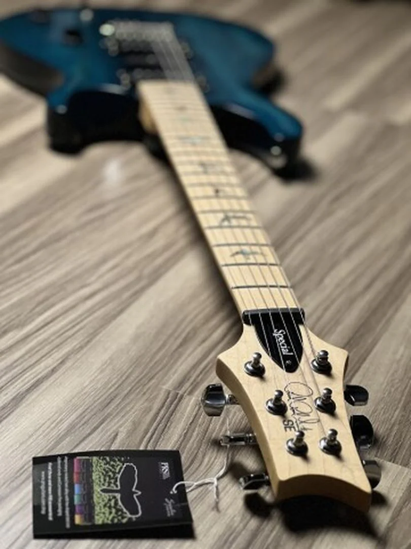 PRS SE Swamp Ash Special in Iri Blue - Image 6