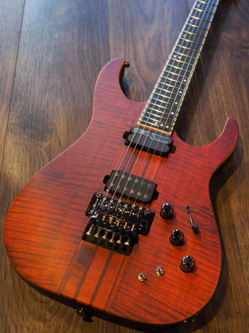Schecter Banshee Elite 6 with Floyd Rose Cats Eye Pearl - Image 5