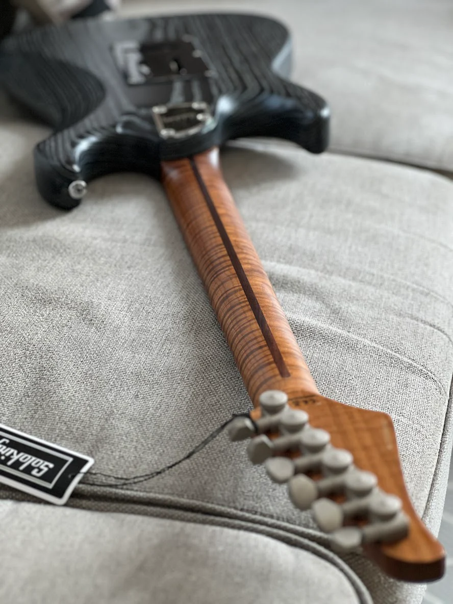 Soloking MS-1 AT Akbar Tsai Signature Series in Driftwood Black with Silver Lining - Image 8