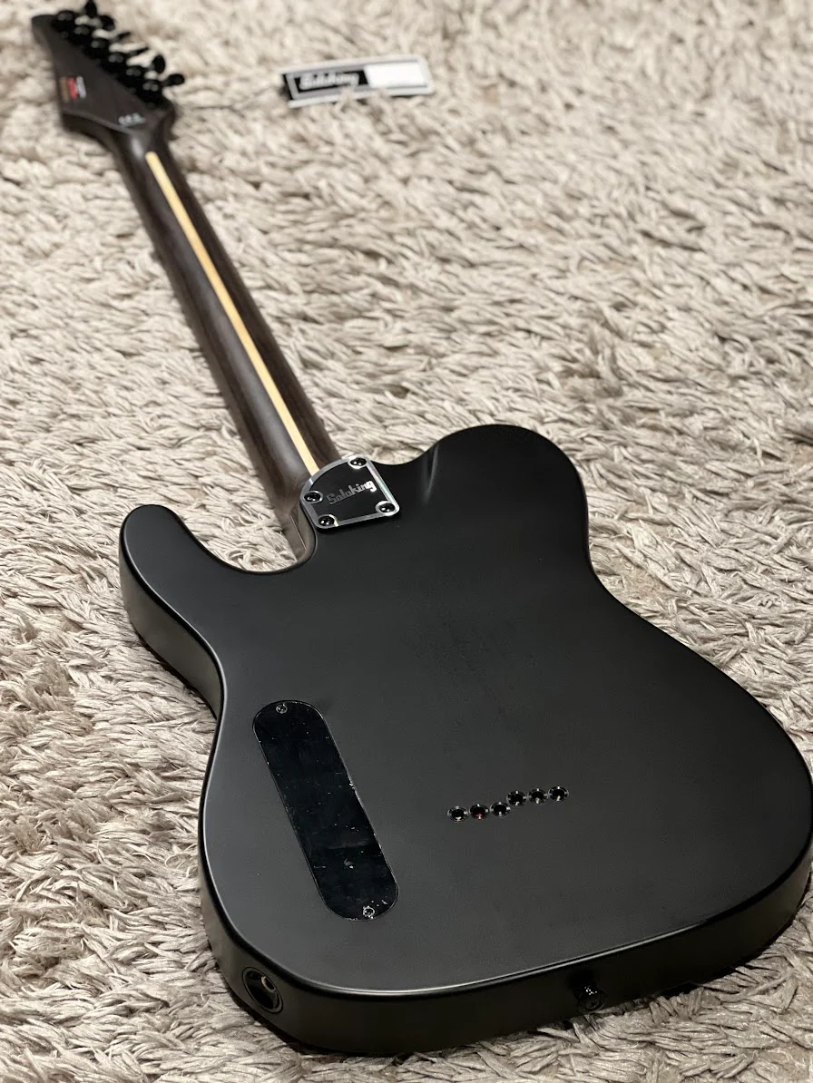 Soloking MT-1 Modern HH 24 MOD in Satin Black Matte with EMG James Hetfield HET SET - Image 4
