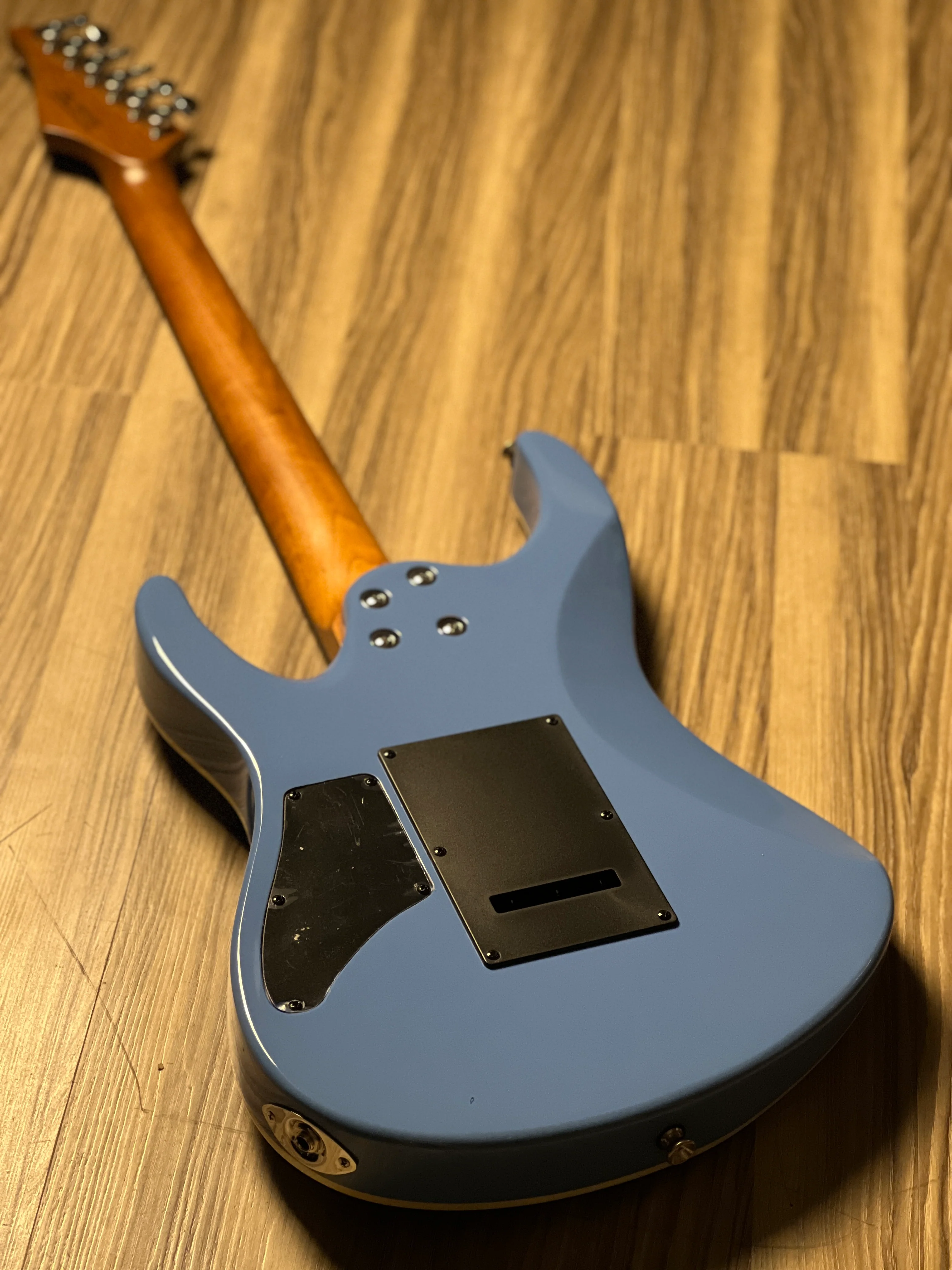 SQOE SEIB500 HH Roasted Maple Series in California Blue - Image 6