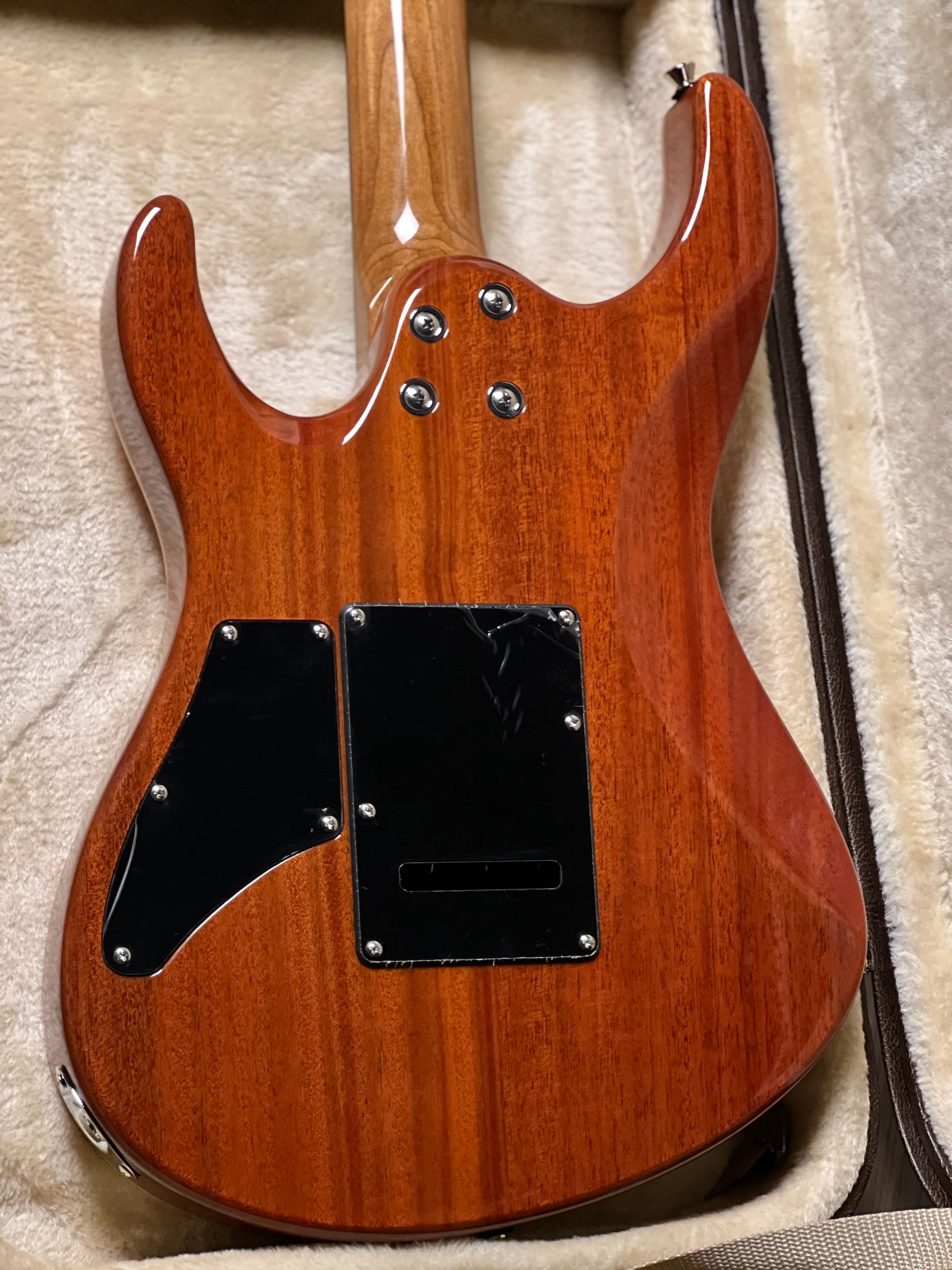 SQOE SEIB998 HSH NY in Amber Orange - Image 6