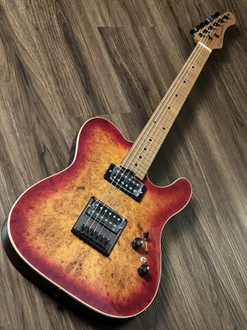 SQOE SETL650 HH Roasted Maple Series in Cherry Sunburst Burl - Image 2