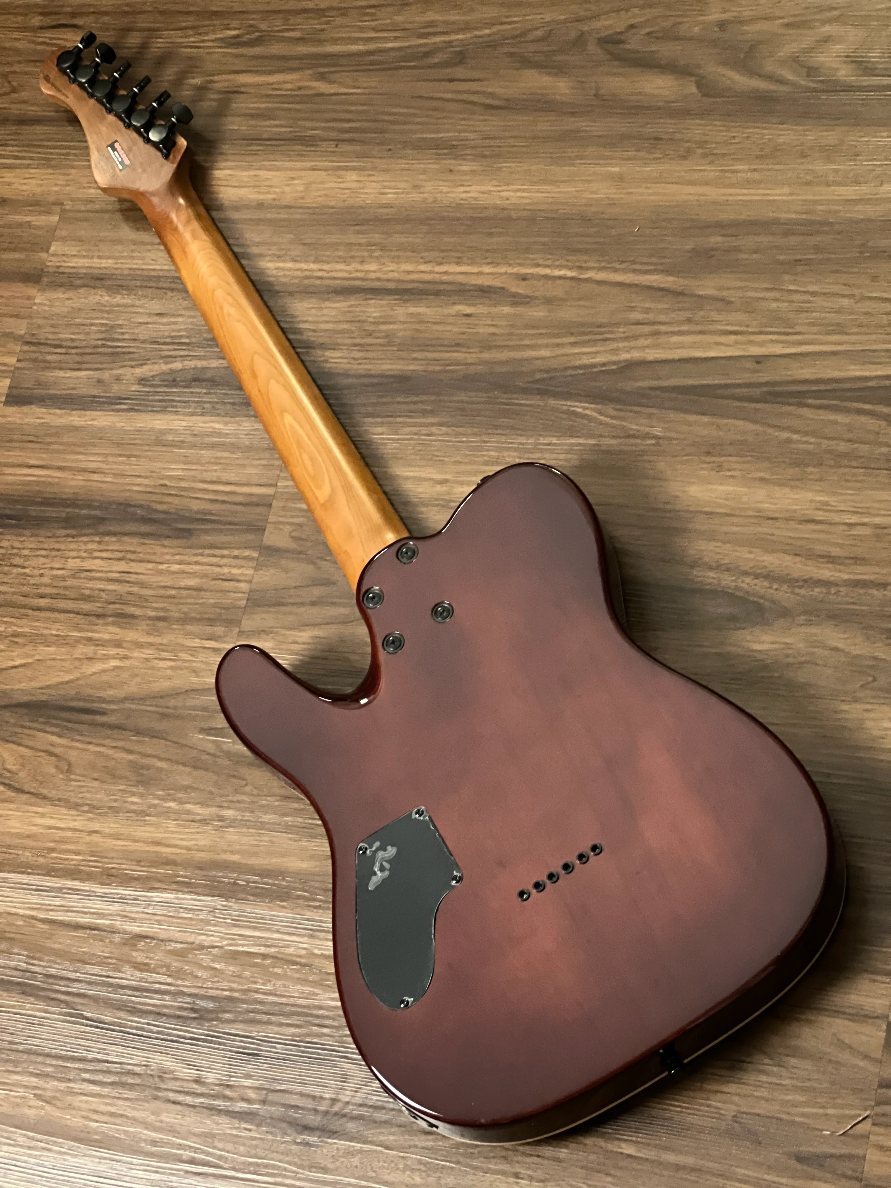 SQOE SETL650 HH Roasted Maple Series in Sunburst Burl - Image 3