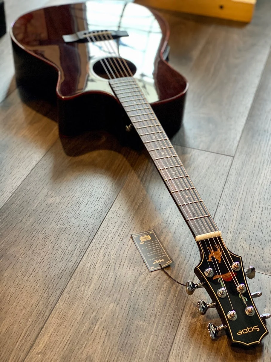 SQOE Spain SMLT-BK Acoustic Electric in Transparent Black with Fishman Presys Plus Preamp - Image 4