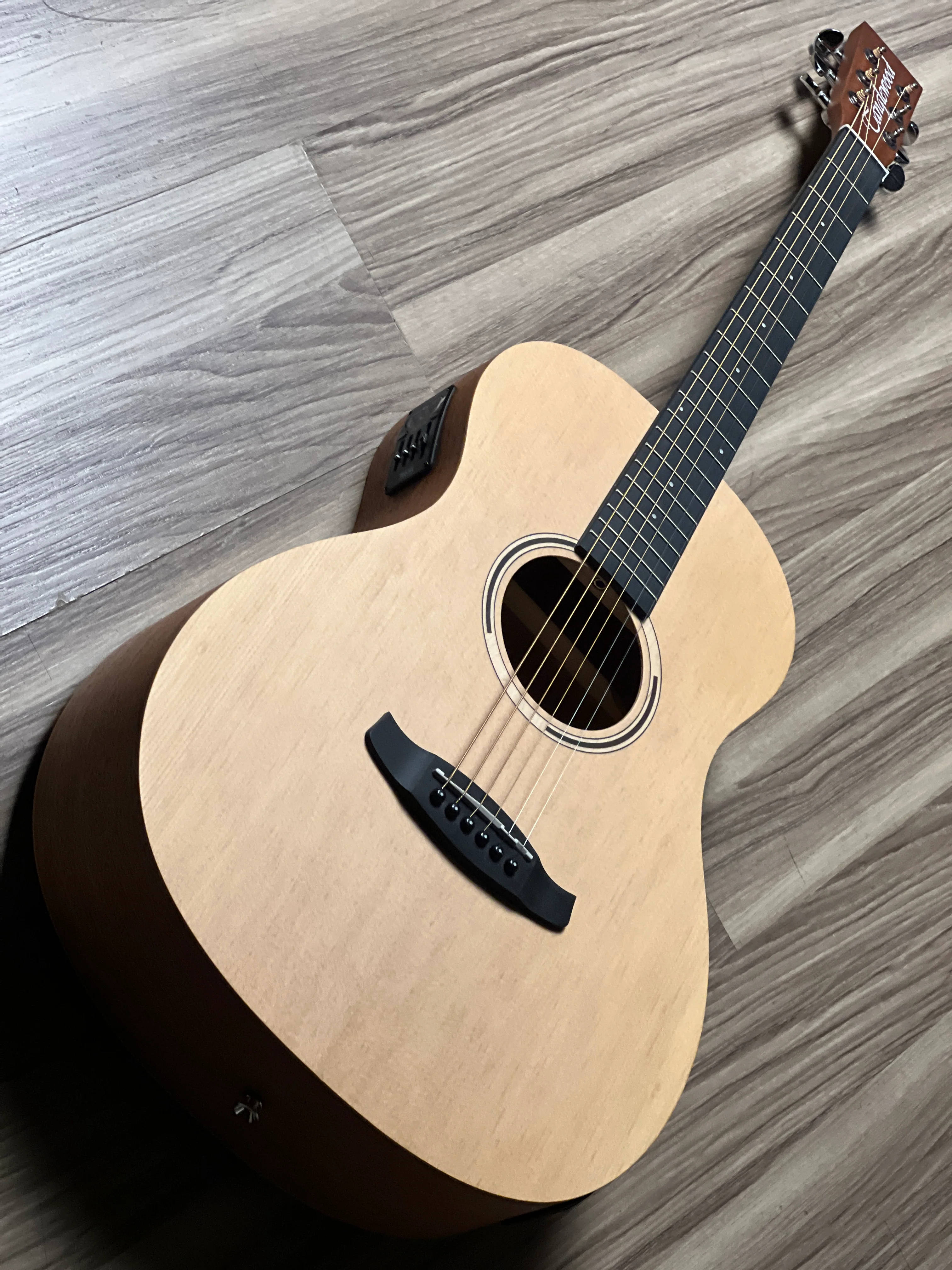 Tanglewood TR8E Parlour Size in Natural Open Pore Finish w/Bag - Image 3