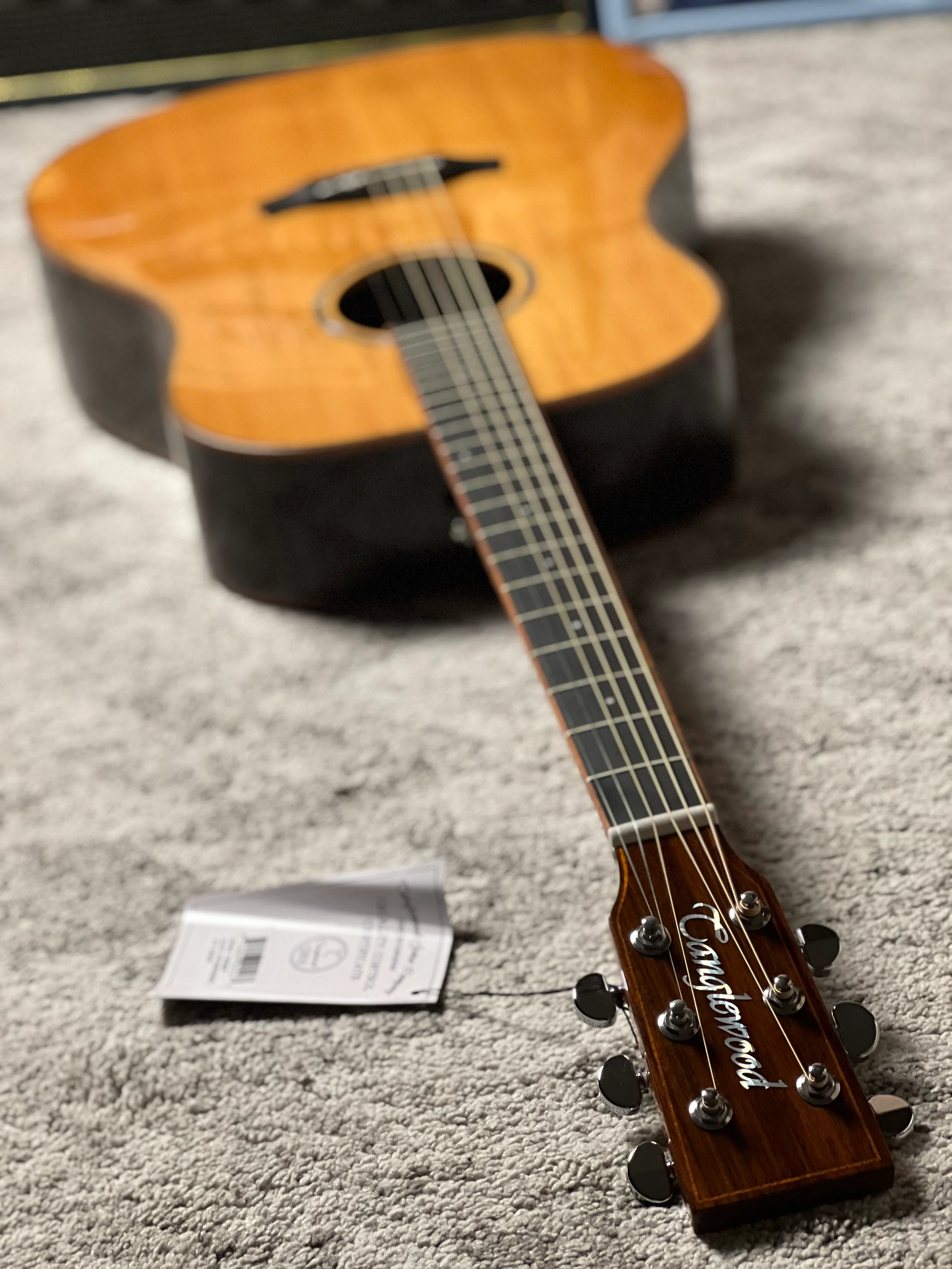 Tanglewood TRS5-SE Rosewood Smart Solid Top Sloped Shoulder Dreadnought Acoustic w/ Pickup in Natural Gloss - Image 8
