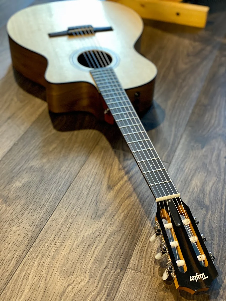 Taylor 114ce-N Grand Auditorium Nylon - Image 4