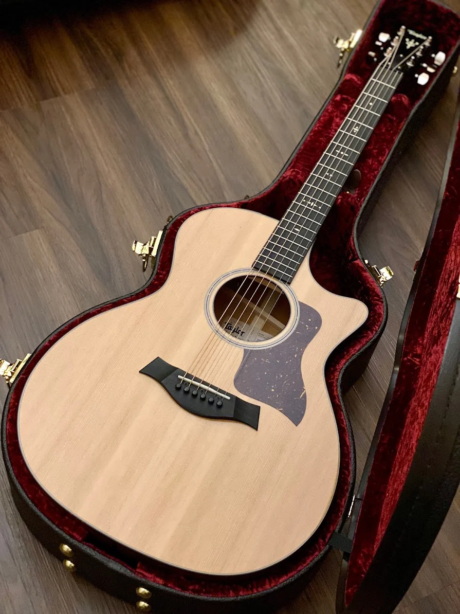 Taylor 514ce - Mahogany Back and Sides with V-Class Bracing - Image 2