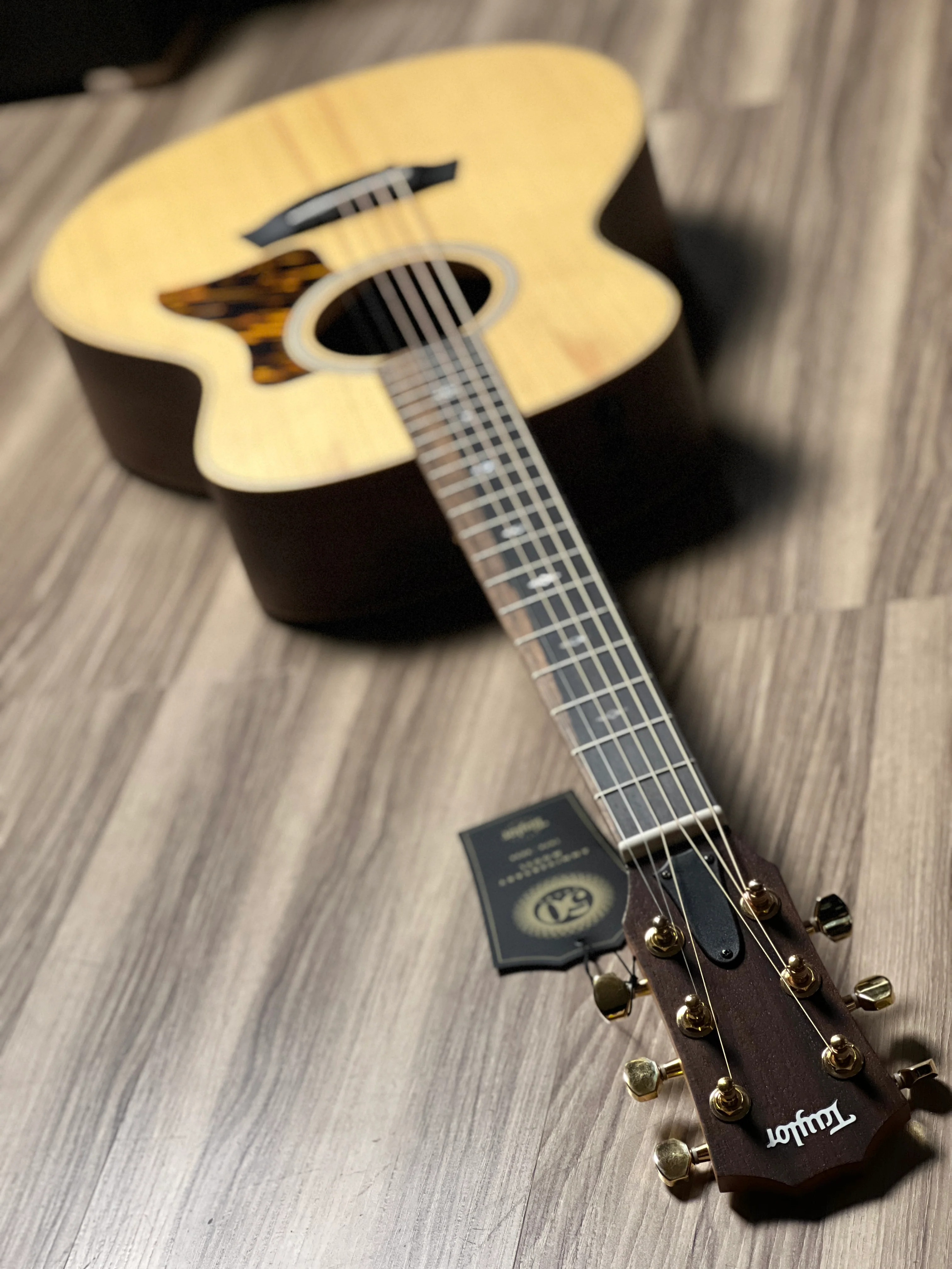 Taylor GS Mini-e 50th Anniversary RW In Natural Top w/Bag - Image 6