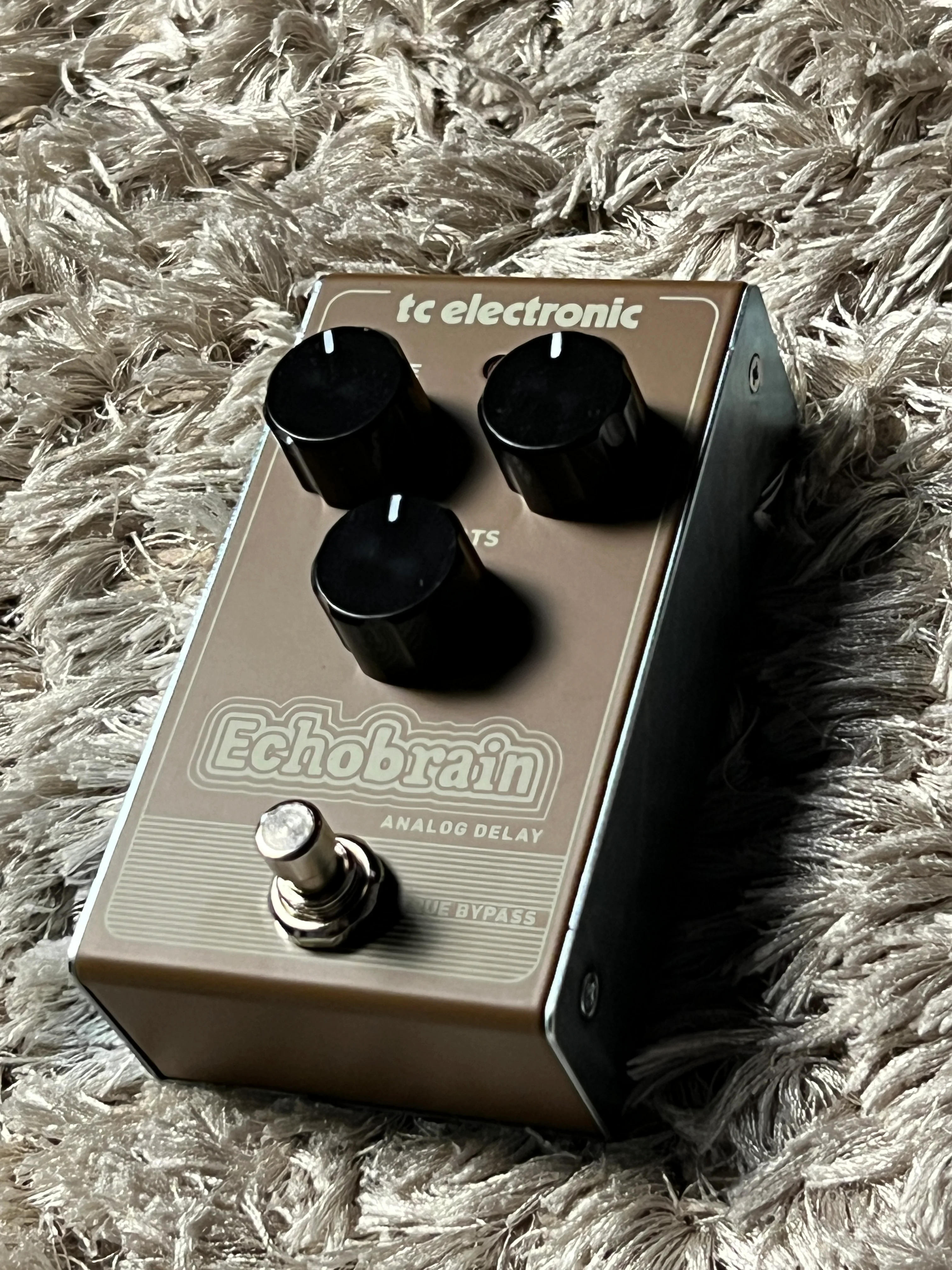 TC Electronic Echobrain Analog Delay - Image 2